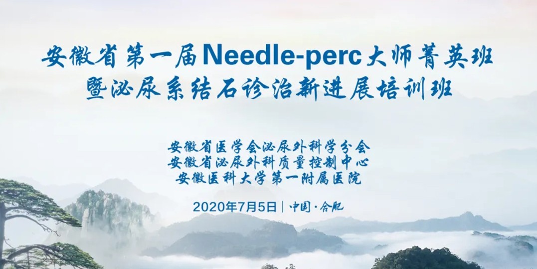 安徽省第一屆 Needle-perc大師菁英班暨泌尿系結(jié)石診治新進展培訓(xùn)班成功舉辦